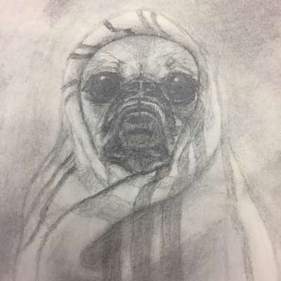Pug in a blanket - Portrait - Pencil